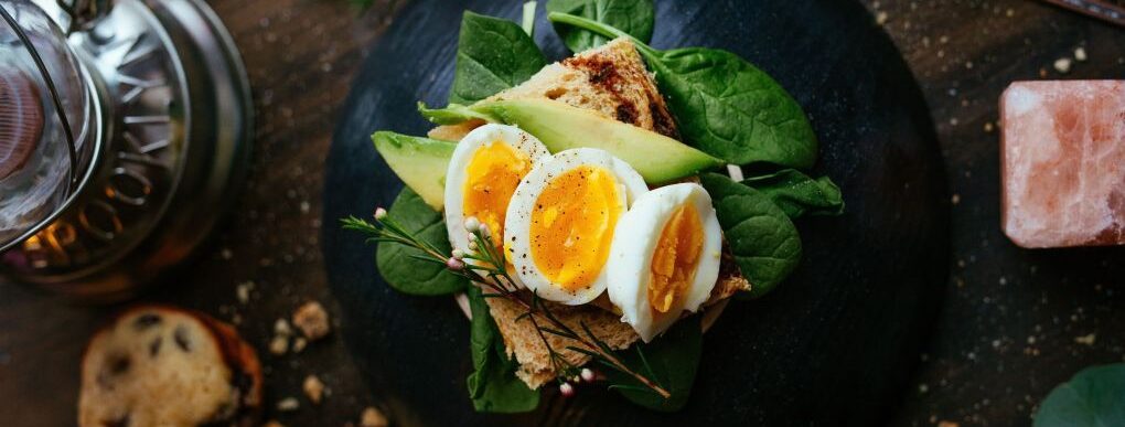 Bodylogicmdfranchise